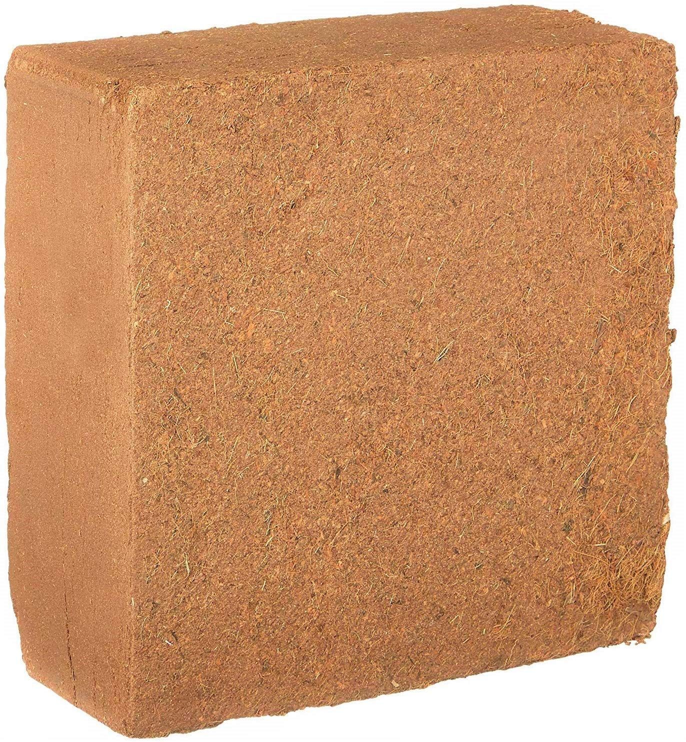 5kg_7eeacbf321b24b3bbb7fbb0e7c175833_master_2dac668db40145bb9bdeabccf1ed8ead