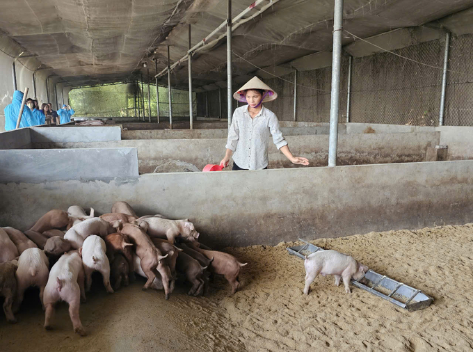 Mô hình hỗ trợ người dân chăn nuôi theo hướng hữu cơ ở Vĩnh Phúc. Ảnh: Hoàng Anh. 